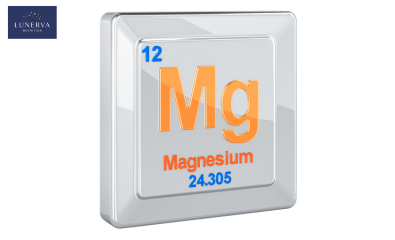 The Role of Magnesium in Stress Management and Better Sleep